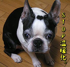 STOP温暖化。